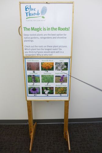 root display.JPG