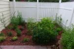 Fence raingarden