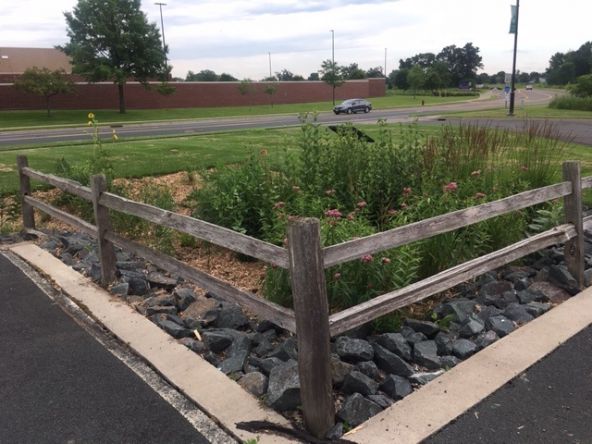 vadnais heights rotary raingarden small.jpg