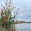 Clean Water Actions You Can Take this Fall