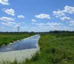 Lambert Creek Spring Maintenance