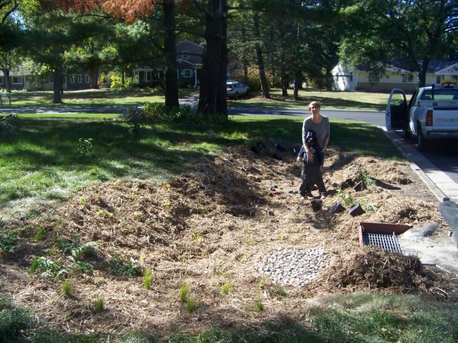 3790 Van Dyke curb cut darth vader planting.jpg