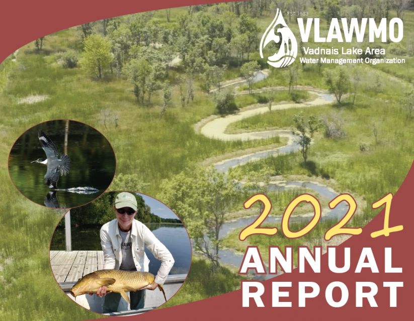 2021 Annual Report thumbnail cover.jpg