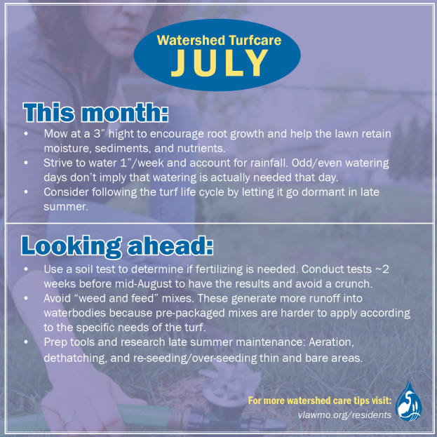 Yardcare - July - web.png