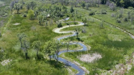 Lambert meander June 2021 drone.jpg