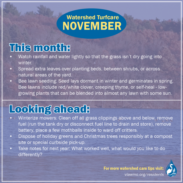 Yardcare - November - web.png