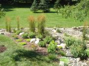 Raingarden in Vadnais Heights 1