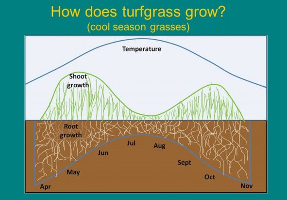 bimodal turf graph.jpg