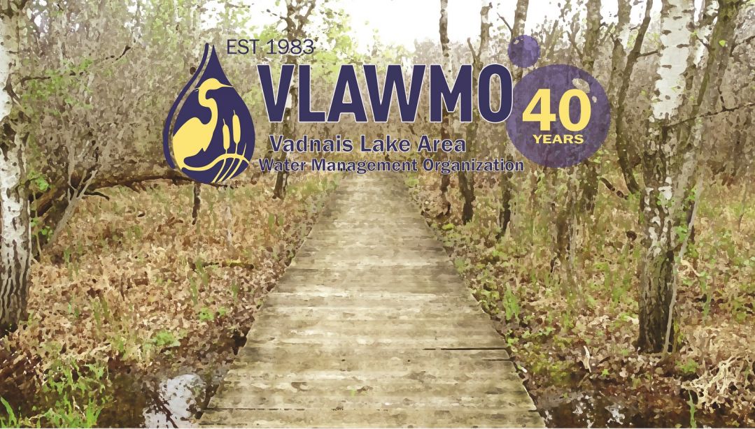40th anniversary boardwalk logo.jpg