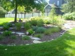 Raingarden in Vadnais Heights 2