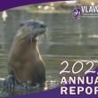 2022 Annual Report
