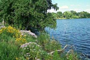 Birch Lake