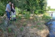 Birch Lake Shoreline Restoration