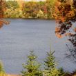 Gem Lake Sustainable Lake Management Report