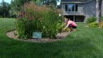 Vadnais Heights Raingarden 4