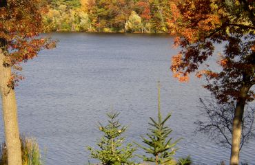 Gem Lake Sustainable Lake Management Report