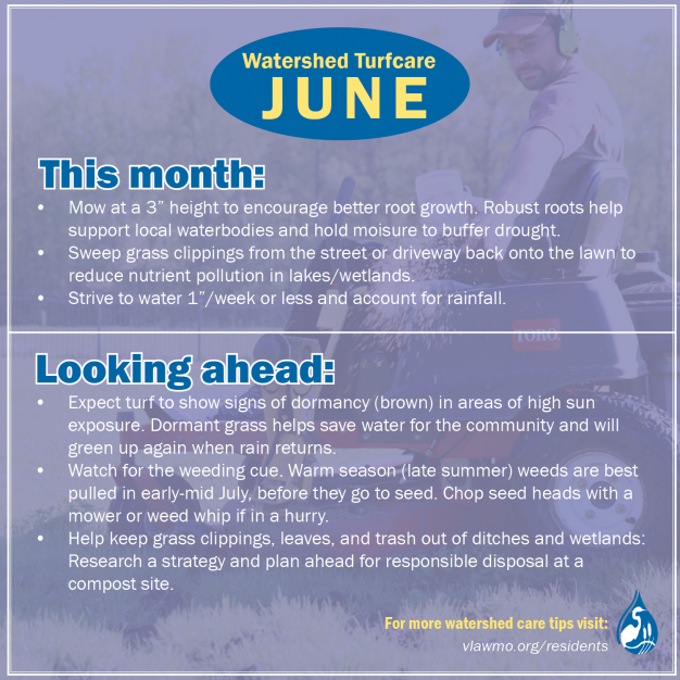 Yardcare - June - web.png