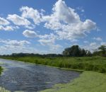 Lambert Creek Spring Maintenance