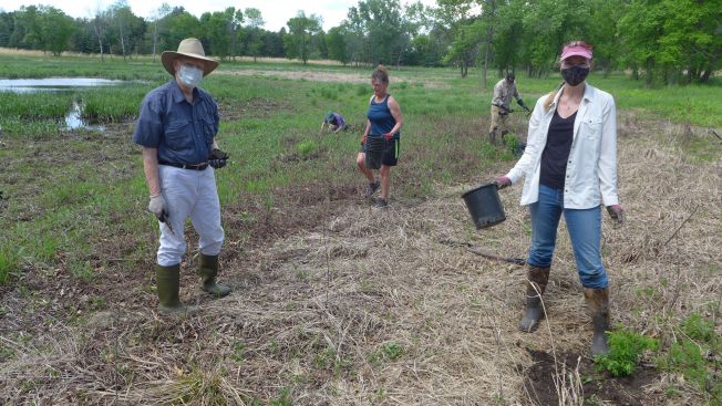 Tamarack teal pond planting may 2021 (5).JPG