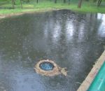 Birch Lake Sand-Iron Filter Complete
