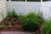 Fence raingarden