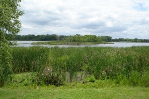 Amelia Lake