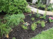 Pop-up raingarden