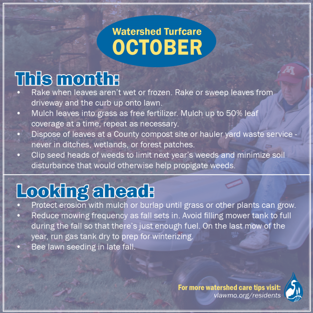 Yardcare - October - web.png